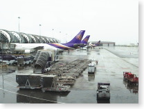 飛行機